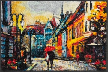 Wycieraczka na jesień wewnętrzna do butów 50x75 cm