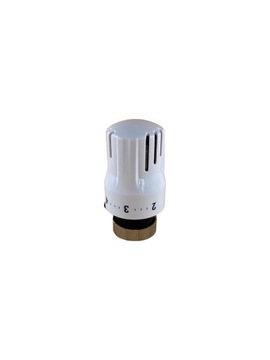 GŁOWICA TERMOSTATYCZNA MINI M30 X 1,5