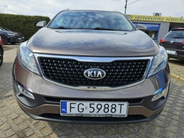 Kia Sportage III SUV Facelifting 1.6 GDI 135KM 2015 Kia Sportage 1,6 benzyna 135KM, zdjęcie 15