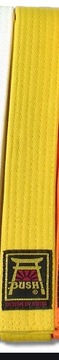 Ремень буси каратэ тхэквондо дзюдо, желтый, 160 см
