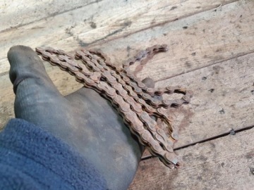 ВИНТАЖНАЯ ВЕЛОСИПЕДНАЯ ЦЕПЬ ROMET REKORD ORIGINAL CHANCE PRL