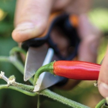 НОЖНИЦЫ ДЛЯ ТРАВ SP220 SOLID 1063326 FISKARS