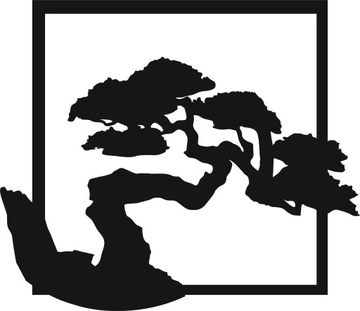 kwadrat drzewo drzewko 30 cm bonsai KOLORY
