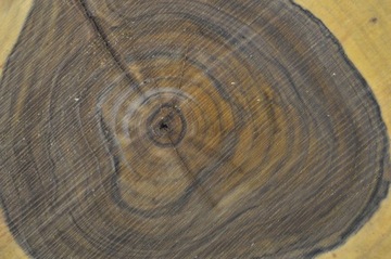 Столешница из доски Slice 43x38 Gr.6 из орехового дерева