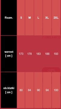 МУЖСКАЯ ФУТБОЛКА NIKE THERMOACTIVE DRY FIRST, размер XL