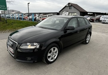 Audi A3 8P Hatchback 3d 1.6 102KM 2009 Audi A3 Serwisowana bdb Stan Bezwypadkowa Mega...