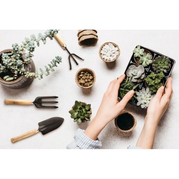 Набор садовых инструментов из 3 предметов с деревянной ручкой.