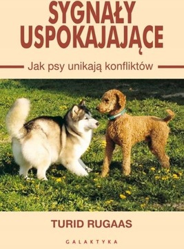 Sygnały uspokajające. Jak psy unikają konfliktów