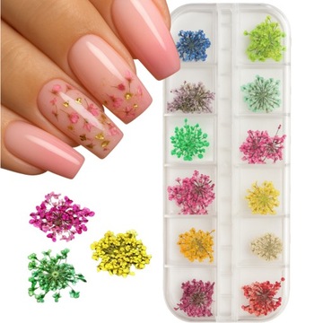 Suszone Kwiaty Do Paznokci Ozdoby Paznokcie Hybrydy Sztuczne Kwiatki