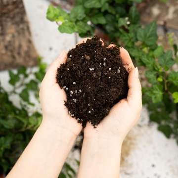 Почвенный субстрат для ЗЕЛЕНЫХ растений, смесь MIX