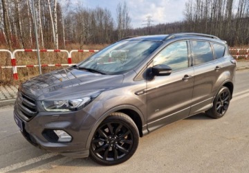 Ford Kuga II SUV Facelifting 2.0 TDCi 180KM 2017 Ford Kuga 2,0 ST-line 4x4 Navi BiXenon Zarejestrowany 2.0 Diesel 180KM, zdjęcie 2