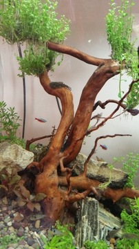 Набор камней из деревянного сланца 5 кг для аквариума