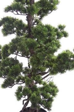 искусственный большой BONSAI Pinia 140 см искусственная сосна