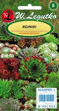 ROJNIK MIESZANKA GATUNKÓW 0,02G NASIONA BYLINA