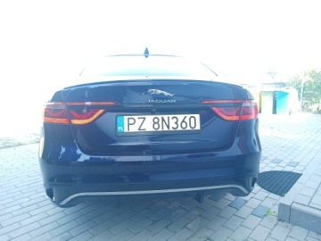 Jaguar XF II Sedan Facelifting 2.0i 250KM 2024 Jaguar XF x260 p250 SE 17k przebiegu Bardzo Bogata wersja wyposażenia, zdjęcie 9