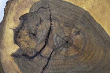 Столешница из доски куска ореха 46x41 гр.6