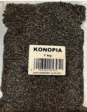 Konopia ziarno nawilżone preparowane 1kg zanętowe WrocłaW