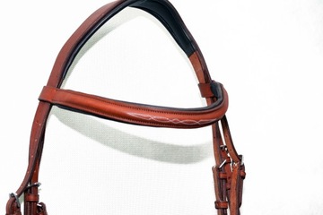 Профилированная анатомическая команда полна