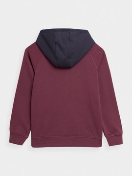 СВИТШОТ С КАПЮШОНОМ 4F ДЛЯ МАЛЬЧИКОВ AW23M651