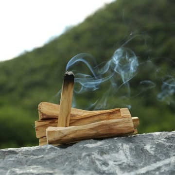 Ароматизатор для свечей из соевого воска, ароматическое масло PALO SANTO, 100 мл