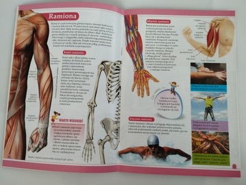 ЭНЦИКЛОПЕДИЯ ЧЕЛОВЕЧЕСКОГО ТЕЛА + НАБОР ТРАВЯНЫХ ЛЕКАРСТВ x11 Для похудения