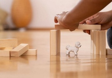 ШЛЕЙХ БИШОН ФРИЗ FARM WORLD DOG 13963