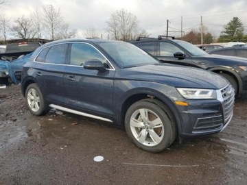 Audi Q5 II 2019 Audi Q5 2019r., Premium Plus, od ubezpieczalni 2.0 Benzyna 248KM, zdjęcie 5