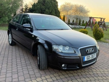 Audi A3 8P Hatchback 3d 1.6 102KM 2004 Audi A3 3-drzwiowe 1.6mpi 102KM Klima Alusy Grzane fotele Sprawdz 1.6, zdjęcie 31