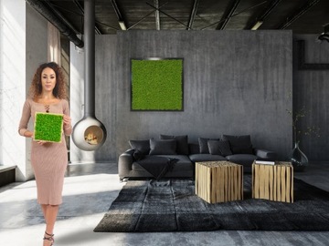 Moss of Chrobotek Finnish 500G Gross Gross Green Decorative Decorative Curatified