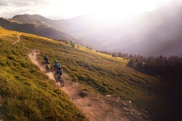 Chwyty Rowerowe Ergon GP5 S