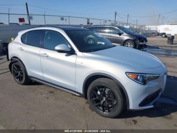 Alfa Romeo Stelvio SUV Facelifting 2.0 Turbo 280KM 2022 Alfa Romeo Stelvio 2022 Alfa Romeo Stelvio Ti AWD 2.0 Benzyna 280KM, zdjęcie 6