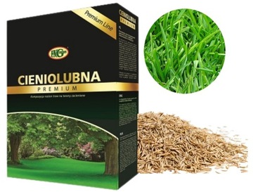 MIESZANKA TRAW TRAWA CIENIOLUBNA PREMIUM 1kg