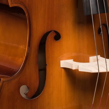 Hora B100 — контрабас 1/4