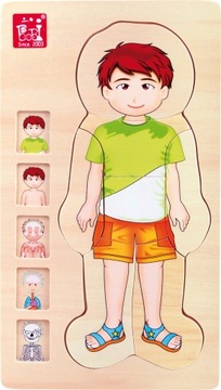 DREWNIANE PUZZLE ANATOMIA BUDOWA CIAŁA CHŁOPIEC