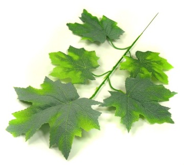Liść omszały Gałązka GREEN KLON LIŚCIE
