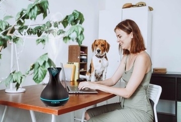 Фирменный ультразвуковой аромадиффузор TULIPAN