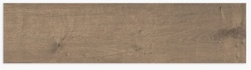 PŁYTKI PODŁOGOWE ŚCIENNE ŁAZIENKOWE PANELE DREWNOPODOBNE 20x120 GRES GAT 1