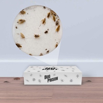 Ловушка Leame Trap для тараканов Bugs Fish Spiders Beetles (2 ПК)