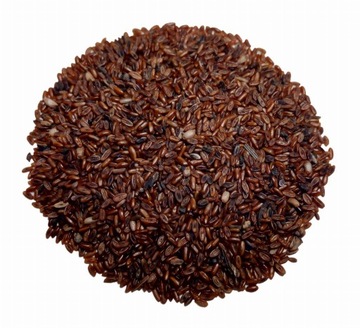 Babka lancetowata - nasiona - 10g