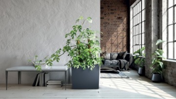 Urbi Case Tower high box Prosperplast DUC800T-S433 цвет антрацит