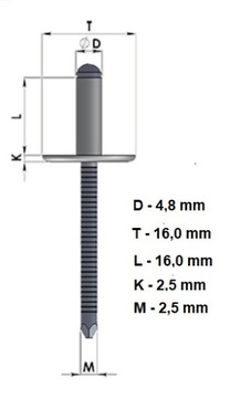ЦВЕТ ЗАКЛЕПКИ ШИРОКИЕ 4,8Х16 АНТРАЦИТ RAL7016 10шт.