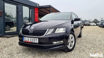 Skoda Octavia III Kombi Facelifting 2.0 TDI 150KM 2019 Skoda Octavia 2.0TDI 150KM Navi bi xenony asystent el klapa 100 bezwypadek, zdjęcie 12