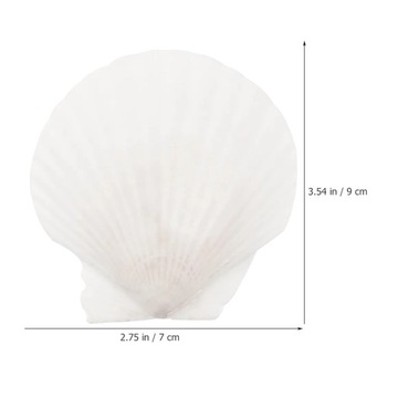 Большие натуральные ракушки из морских гребешков ручной работы.