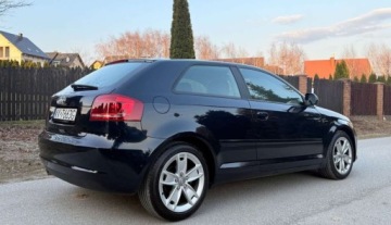 Audi A3 8P Hatchback 3d 1.6 TDI 105KM 2010 Audi A3 3-drzwiowe Audi A3 3-drzwiowe 1.6 TDI DPF Ambition 1.6 Diesel 105KM, zdjęcie 6