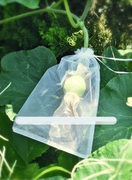 СУМКИ-ЧЕХЛЫ ДЛЯ ФРУКТОВ, ОВОЩЕЙ, ВРЕДИТЕЛЕЙ 100 шт.