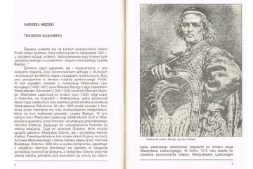 Жнинские Зешиты Исторические № 19