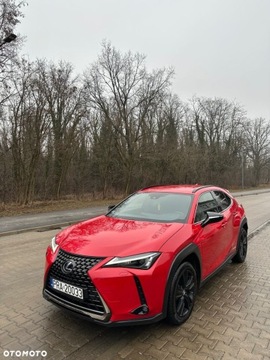 Lexus UX 2021 Lexus UX Raty Leasing Full opcja Salon Polska 4x4 automat Hybrid Gwarancja, zdjęcie 11