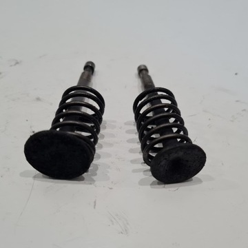 КОМПЛЕКТ ВПУСКНЫХ ВЫПУСКНЫХ КЛАПАНОВ TECUMSEH VANTAGE 35