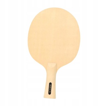 Stół do tenisa stołowego PingPong