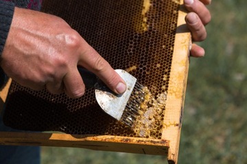 ВИЛКА ДЛЯ РАСКРЫТИЯ 20 СМ, НЕРЖАВЕЮЩАЯ СТАЛЬ